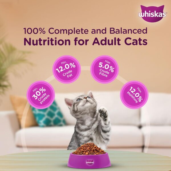 Whiskas Junior Mother Cat & Kitten (2-12 Months) Dry Cat Food, Ocean Fish Flavour, 1.1 kg, Contains 41 Essential Nutrients, Complete & Balanced Nutrition for Mother Cats & Kittens