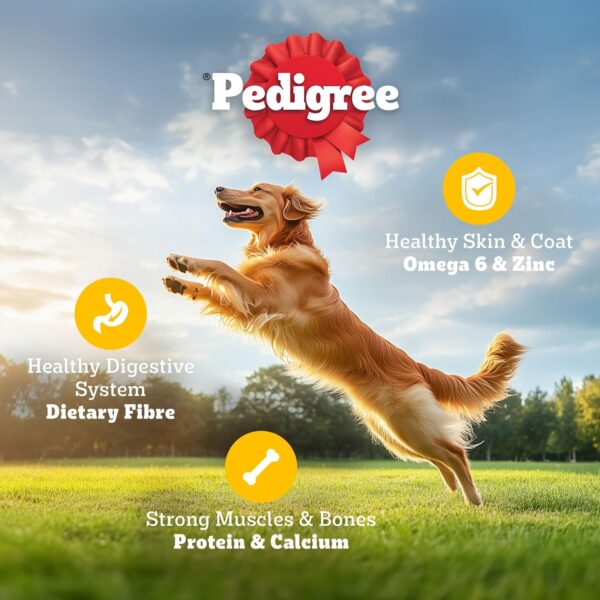 Pedigree Dry Food for Adult Dogs, Meat & Rice Flavour, 3kg Pack