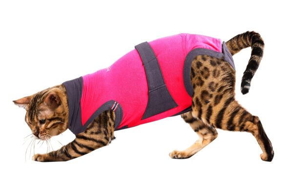MAXX Cat Post Surgery Suit  Breathable Cat Onesie Surgical Recovery Suit for Wounds  E-Collar Alternative (S, Pink Grey)