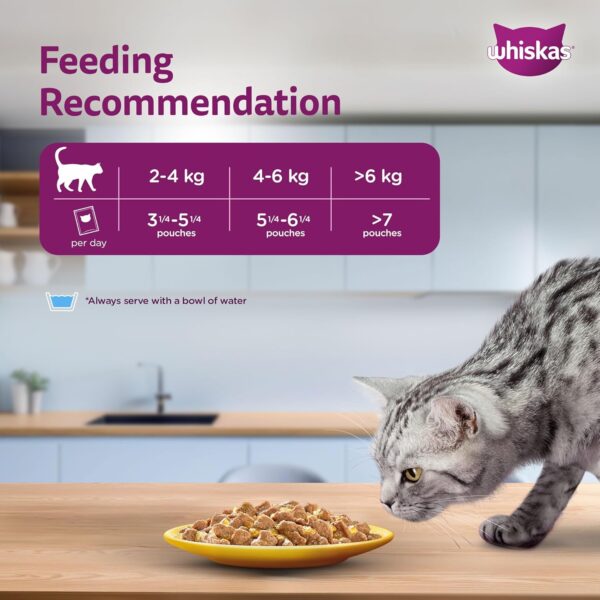 Whiskas Adult (1+ Years) Wet Cat Food, Chicken in Gravy, 80 g, Pack of 14, Hydrating Food Made With Real Chicken, 100% Complete & Balanced Nutrition for Adult Cats