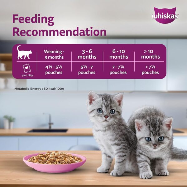Whiskas Wet Food for Kittens (2-12 Months), Tuna in Jelly Flavour, 12 Pouches (12 x 85g)