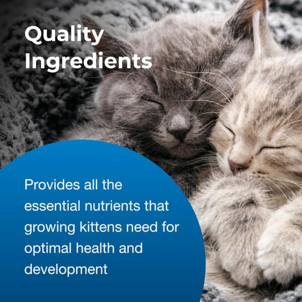 Pet-Ag KMR Kitten Milk Replacer Powder – 6 oz – Powdered Kitten Formula with Prebiotics, Probiotics & Vitamins for Kittens Newborn to Six Weeks Old – Easy to Digest