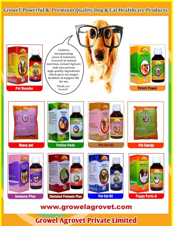 Growel Petlive Forte: A Powerful Liver Tonic for Digestion, Appetite, Growth and Food Intake for Dogs and Cats  100 ml.