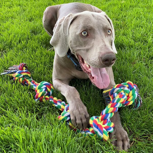 Tail Dog Toys + Dog Chew Toys + Puppy Teething Toys + Rope Dog Toy + Dog Toys for Small to Medium Dog Toys + Dog Toy Pack + Tug Toy + Dog Toy Set + Washable Cotton Rope for Dogs (Pack of 12)