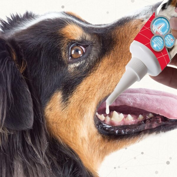 Beaphar Tooth Gel Dog/Cat, 100 Gram
