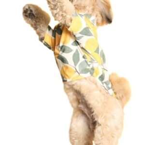 15 BUTTONS Limon Summer Dog Shirt| Pet Fashion, Cute Prints, Gift for Pets | Super Soft, Comfortable Dog Clothing(Recommended Breed - Shih Tzu, Poodle, Pug)(S)