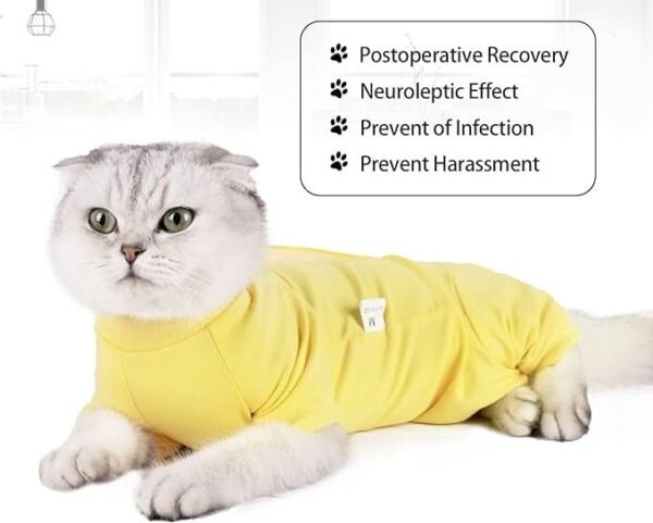 KUTKUT cotton Kitten Recovery Suit for Abdominal Wounds & Skin Diseases,Breathable Surgical Recovery Shirt After E-Collar Alternative for Small Kitten(SIZE:XS, Chest:28-32cm, 1 count)