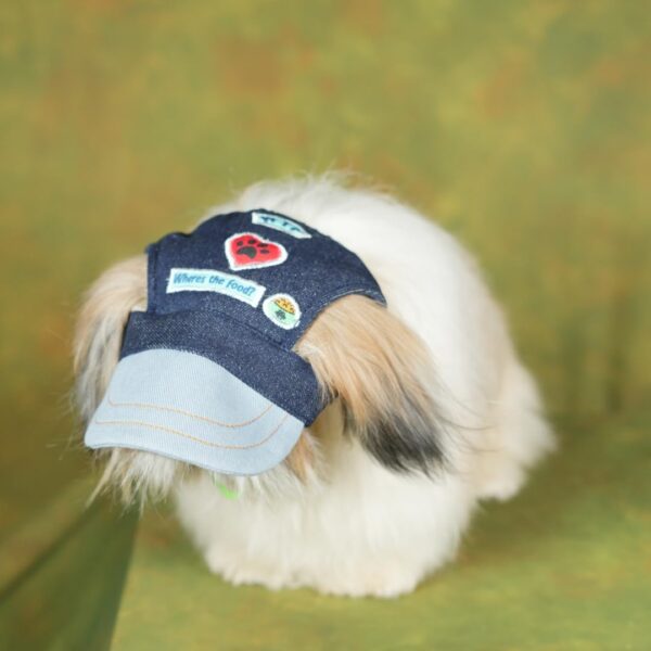 Unleash Dog Cap, Adjustable Dog Outdoor Sport Sun Protection Baseball Hat Cap Visor Sunbonnet Outfit with Ear Holes for Puppy Small Dogs (Denim- Blue Design, Large)