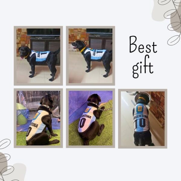 Lulala Pet Shirts Argentina Printed Clothes with Summer Pet T Shirts Cool Puppy Shirts Breathable Pet Outfit Soft Pet Sweatshirt for Pet Pets Cats (Blue-White, 26 INCH)