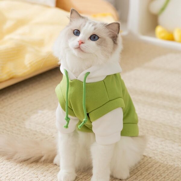Hoodies for Cats | Size : XL | Chest:50 cms, Length:40 cms, Suitable for Persian cat,Himalayan,Exotic,Spotted,Bengal Cats (Green)
