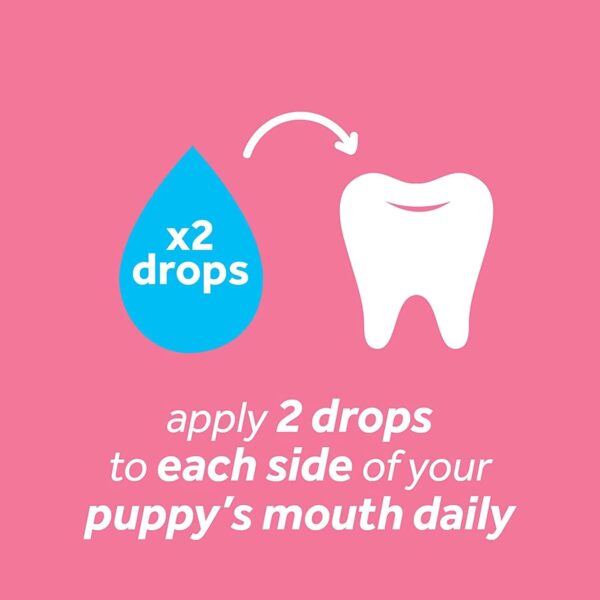 Tropiclean Fresh Breath Clean Teeth Oral Care Gel for Puppies, Removes and Defends Against Tartar and Plaque, No Brushing, Safe, Gentle and Effective, Easy to Apply, 59 ml
