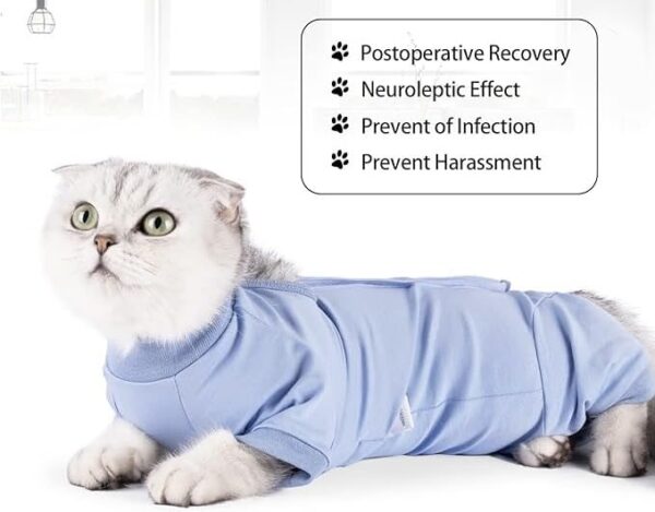KUTKUT cotton Cat Recovery Suit-Kitten Onesie for Cats After Surgery,Cone of Shame Alternative Surgical Spay Suit for Female Cat,Post-Surgery or Skin Diseases Protection (M,Chest: 38cm-42cm),1 count