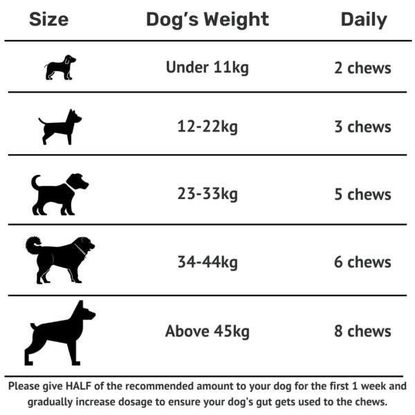 Absolut Pet Dog Supplement for Gut Health, Probiotics for Dogs That Reduces Scratching & Paw-Licking (60 Chews)