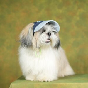Unleash Dog Cap, Adjustable Dog Outdoor Sport Sun Protection Baseball Hat Cap Visor Sunbonnet Outfit with Ear Holes for Puppy Small Dogs (Denim- Blue Design, Large)