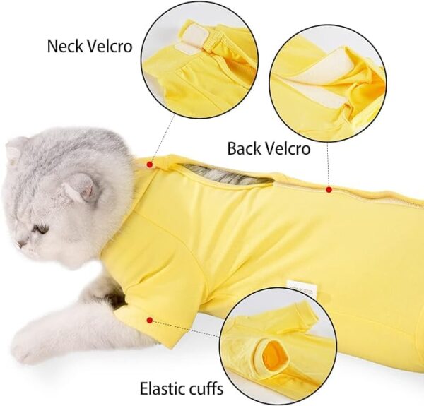 KUTKUT cotton Kitten Recovery Suit for Abdominal Wounds & Skin Diseases,Breathable Surgical Recovery Shirt After E-Collar Alternative for Small Kitten(SIZE:XS, Chest:28-32cm, 1 count)