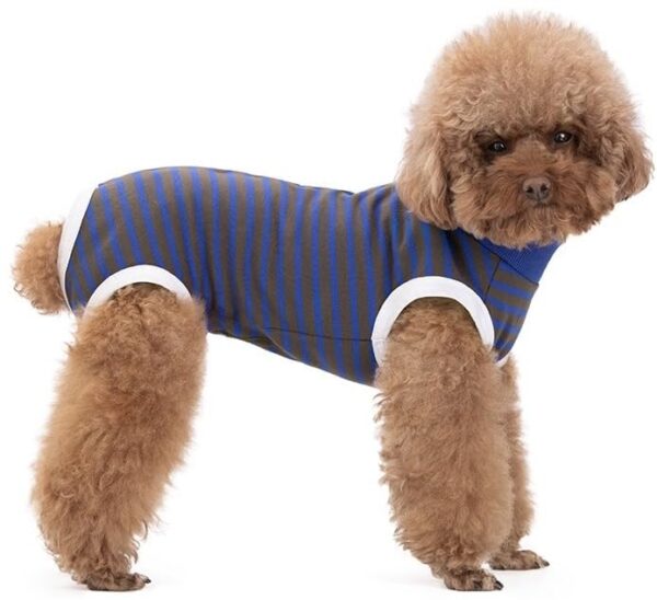 KUTKUT Kitten Puppy Blue Striped Recovery Suit, Surgery Suit for Female Dogs After Spay, Dog Cats Surgical Onesie with Pee Hole Collar Cone Alternative for Abdominal Wounds (Size: S, Chest: 35cm)