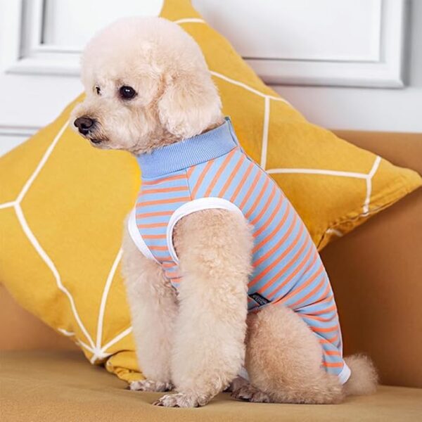 KUTKUT Kitten Puppy Blue Striped Recovery Suit, Surgery Suit for Female Dogs After Spay, Dog Cats Surgical Onesie with Pee Hole Collar Cone Alternative for Abdominal Wounds (Size: S, Chest: 35cm)