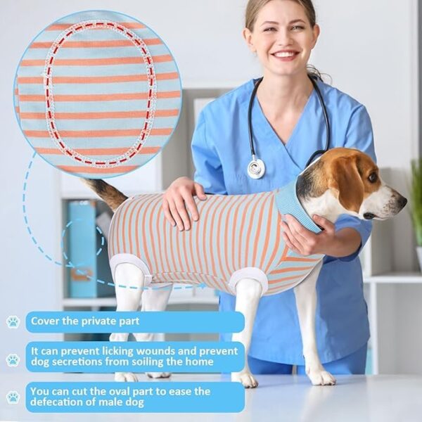 KUTKUT Kitten Puppy Blue Striped Recovery Suit, Surgery Suit for Female Dogs After Spay, Dog Cats Surgical Onesie with Pee Hole Collar Cone Alternative for Abdominal Wounds (Size: S, Chest: 35cm)