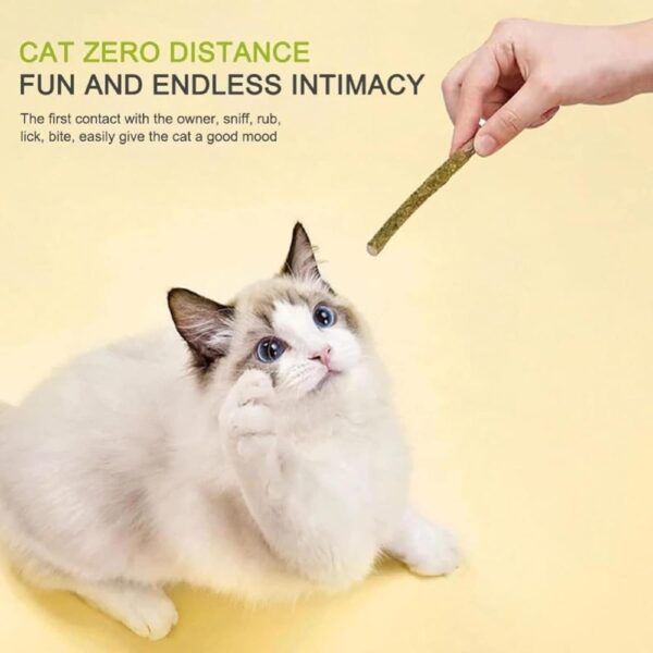 emily pets Cat Chew Sticks Cat Catnip Sticks Natural Catnip Toys Cat Teeth Nip for Cat Teeth Cleaning Playful Entertainment for Kittens and Cats Chew Mint Stick Toy.