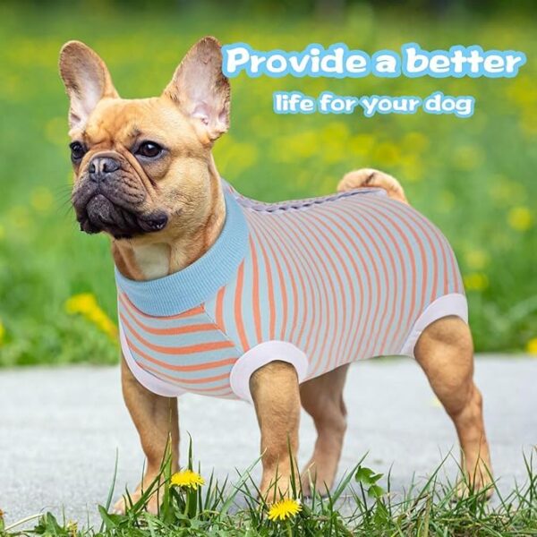 KUTKUT Kitten Puppy Blue Striped Recovery Suit, Surgery Suit for Female Dogs After Spay, Dog Cats Surgical Onesie with Pee Hole Collar Cone Alternative for Abdominal Wounds (Size: S, Chest: 35cm)