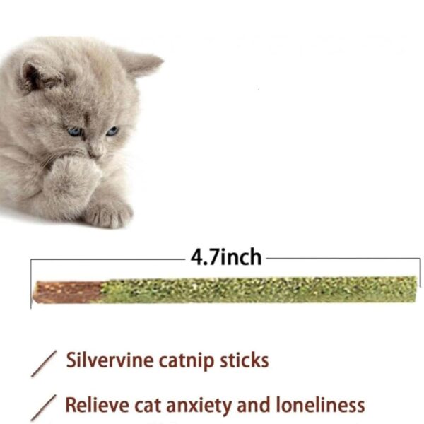 emily pets Cat Chew Sticks Cat Catnip Sticks Natural Catnip Toys Cat Teeth Nip for Cat Teeth Cleaning Playful Entertainment for Kittens and Cats Chew Mint Stick Toy.