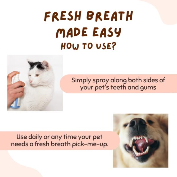 Coco Crush Natural No Brushing Mouth Refresh Spray For Pets|Teeth Cleaning&Fresh Breath|Fights Plaque&Tartar|100% Pure&Ingestion Safe|Suitable For Dogs,Cats,Puppies,Kittens(50Ml)