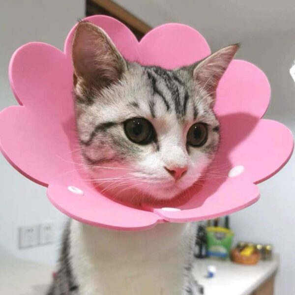 Pets Empire Adjustable Flower Shape Cat Cone Collar – Lightweight Recovery Collar for Small Pets After Surgery: Puppies, Kittens, Dogs, Cats – Soft, Comfortable Design Size – S (Pink) Pack of 2