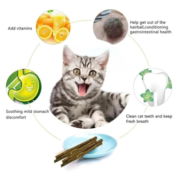 emily pets Cat Chew Sticks Cat Catnip Sticks Natural Catnip Toys Cat Teeth Nip for Cat Teeth Cleaning Playful Entertainment for Kittens and Cats Chew Mint Stick Toy.