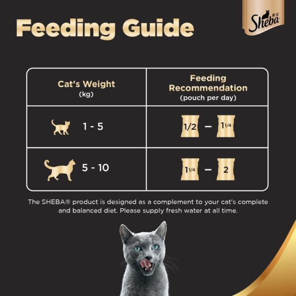 Sheba Premium Wet Food for Adult Cats, Fish with Dry Bonito Flake Flavour, 12 Pouches (12 x 35g)