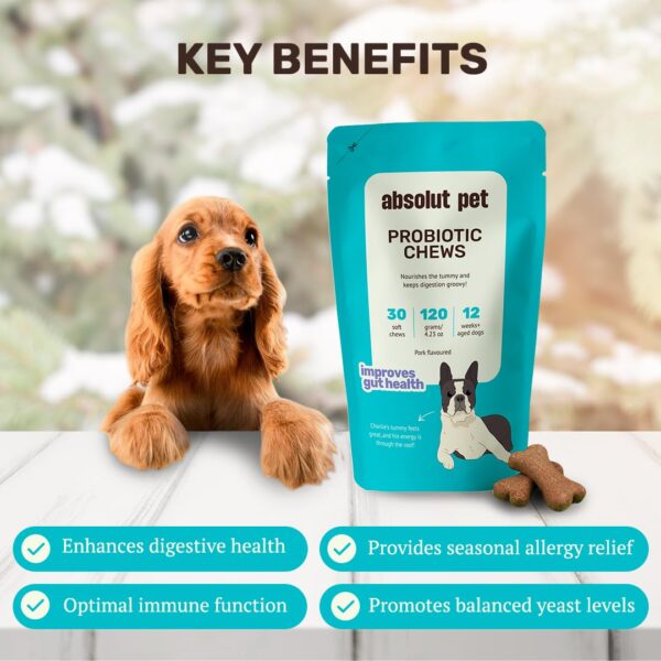 Absolut Pet Dog Supplement for Gut Health, Probiotics for Dogs That Reduces Scratching & Paw-Licking (60 Chews)
