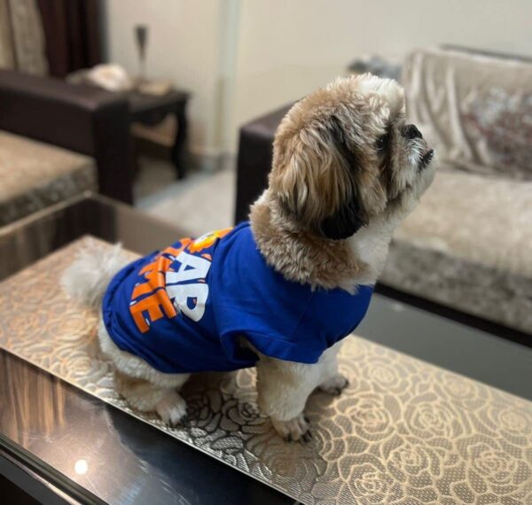 Golden Tails Roarsome Tshirt For Dogs Aand Cats Royal Blue (Small 14″),Cotton