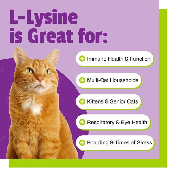 L-Lysine Chews for Cats, Immune and Respiratory Support Supplement, 60 Bite Sized Chews (3.17 oz)