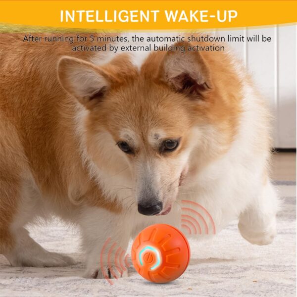 Qpets Small Dog Ball, Dog Chew Toys, Rubber Toys for Dogs, Interactive Bouncing Dog Toy with Cool Lighting Ideal for Indoor and Outdoor (Relieves Anxiety, with USB Cable)