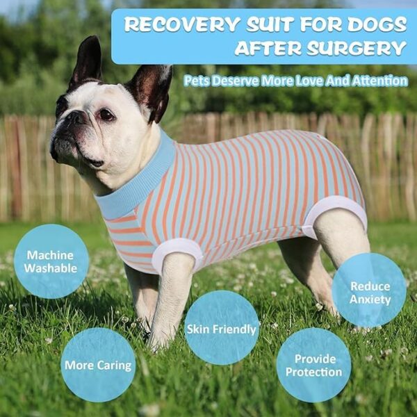 KUTKUT Kitten Puppy Blue Striped Recovery Suit, Surgery Suit for Female Dogs After Spay, Dog Cats Surgical Onesie with Pee Hole Collar Cone Alternative for Abdominal Wounds (Size: S, Chest: 35cm)