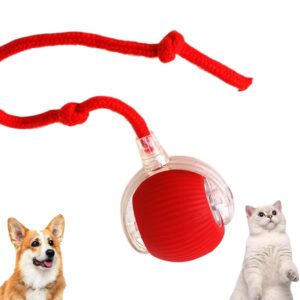 Flexi Madhav Interactive Electric Automatic Rolling Moving Rechargeable Self Play Stimulation Toy,Smart Pet Chase Ball with Speedy Tail Rope for Bored Indoor Cats Enrichment (Cat Ball)