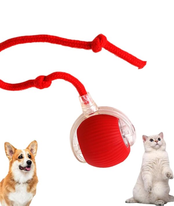 Flexi Madhav Interactive Electric Automatic Rolling Moving Rechargeable Self Play Stimulation Toy,Smart Pet Chase Ball with Speedy Tail Rope for Bored Indoor Cats Enrichment (Cat Ball)