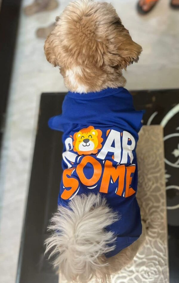 Golden Tails Roarsome Tshirt For Dogs Aand Cats Royal Blue (Small 14"),Cotton