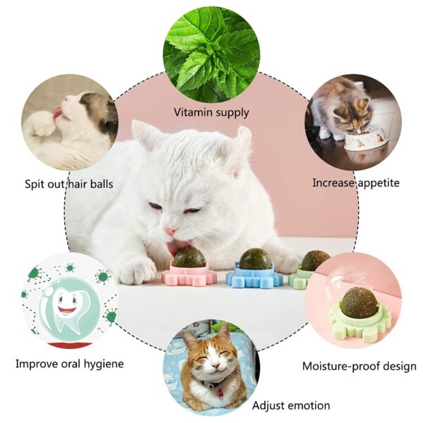 Sichumaria Catnip Wall Toys, Balls for Teeth Cleaning and Biting, Edible Licking Chew Toy, Rotatable Indoor Cat Toy (Green)