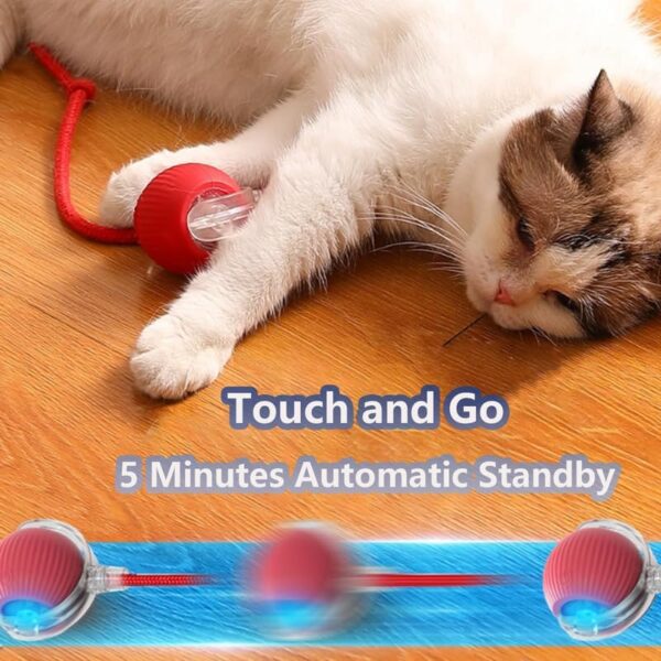 MTRoyaldia 2025 New Interactive Smart Automatic Chewie Viral Rolling pet Dog Cat Toys Balls, Motion Activate Fast Rolling on Carpet Toy, Interactive Self 360 Moving Balls Toys