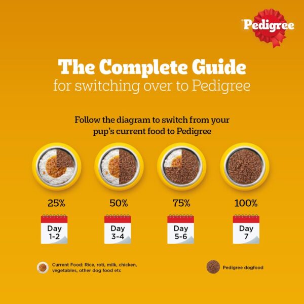 Pedigree Wet Food for Adult Dogs, Chicken & Liver Chunks in Gravy Flavour, Pack of 15 (15 x 70g)