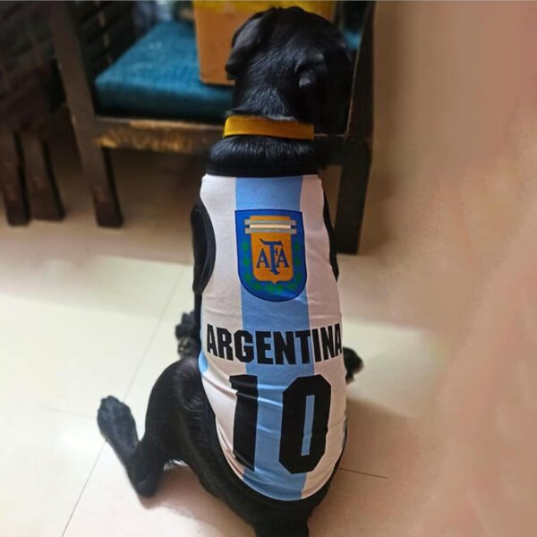 Lulala Pet Shirts Argentina Printed Clothes with Summer Pet T Shirts Cool Puppy Shirts Breathable Pet Outfit Soft Pet Sweatshirt for Pet Pets Cats (Blue-White, 26 INCH)