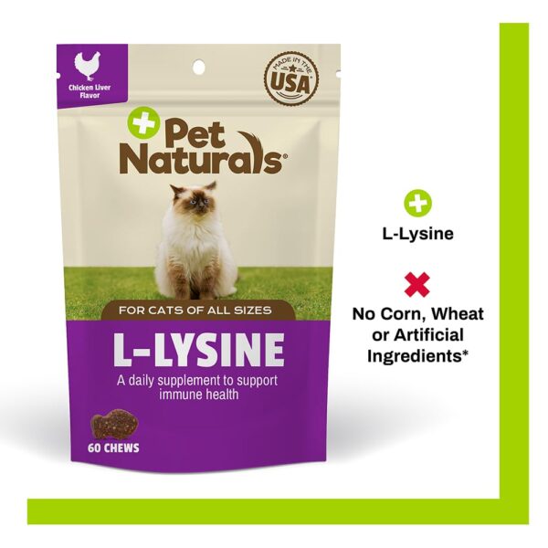 L-Lysine Chews for Cats, Immune and Respiratory Support Supplement, 60 Bite Sized Chews (3.17 oz)