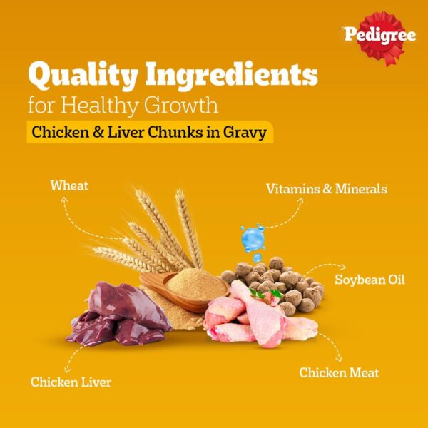 Pedigree Wet Food for Adult Dogs, Chicken & Liver Chunks in Gravy Flavour, Pack of 15 (15 x 70g)