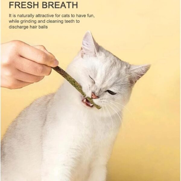 emily pets Cat Chew Sticks Cat Catnip Sticks Natural Catnip Toys Cat Teeth Nip for Cat Teeth Cleaning Playful Entertainment for Kittens and Cats Chew Mint Stick Toy.