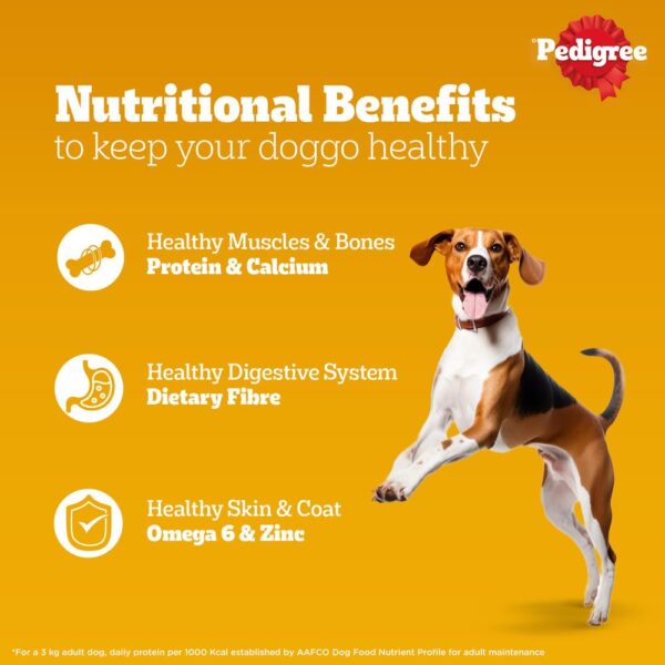 Pedigree Wet Food for Adult Dogs, Chicken & Liver Chunks in Gravy Flavour, Pack of 15 (15 x 70g)