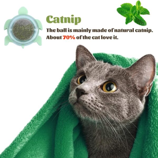 Sichumaria Catnip Wall Toys, Balls for Teeth Cleaning and Biting, Edible Licking Chew Toy, Rotatable Indoor Cat Toy (Green)