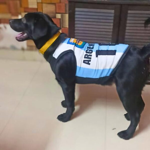 Lulala Pet Shirts Argentina Printed Clothes with Summer Pet T Shirts Cool Puppy Shirts Breathable Pet Outfit Soft Pet Sweatshirt for Pet Pets Cats (Blue-White, 26 INCH)