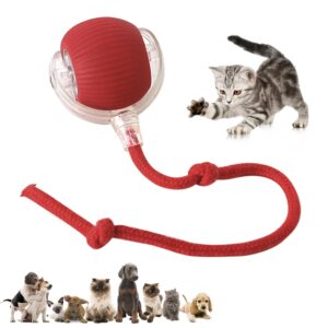 MTRoyaldia 2025 New Interactive Smart Automatic Chewie Viral Rolling pet Dog Cat Toys Balls, Motion Activate Fast Rolling on Carpet Toy, Interactive Self 360 Moving Balls Toys
