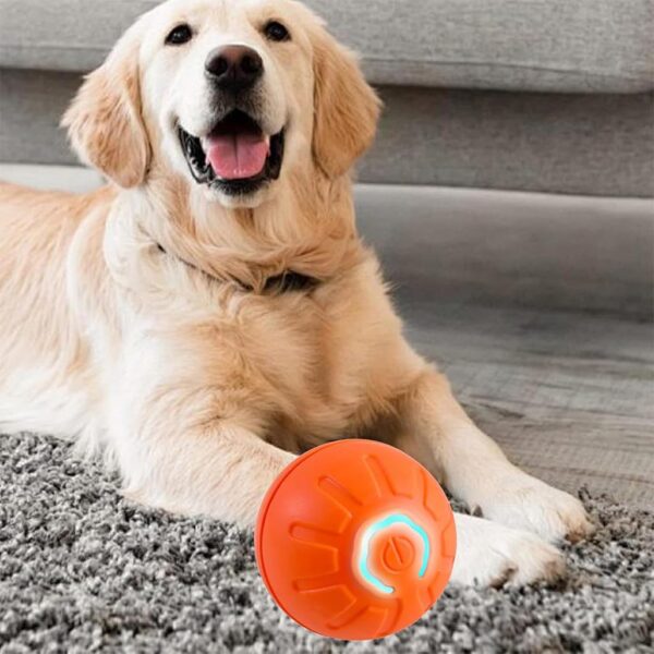 Qpets Small Dog Ball, Dog Chew Toys, Rubber Toys for Dogs, Interactive Bouncing Dog Toy with Cool Lighting Ideal for Indoor and Outdoor (Relieves Anxiety, with USB Cable)