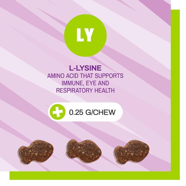 L-Lysine Chews for Cats, Immune and Respiratory Support Supplement, 60 Bite Sized Chews (3.17 oz)